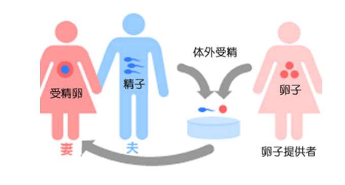 试管婴儿胚胎移植反复失败该如何处理？