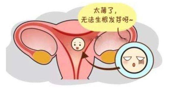 试管婴儿期间子宫内膜过薄怎么调理？