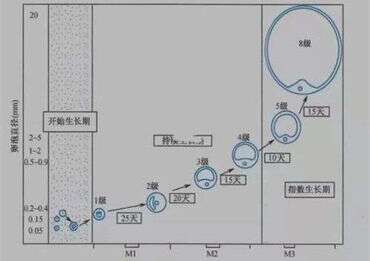 如何预防流产找上门？