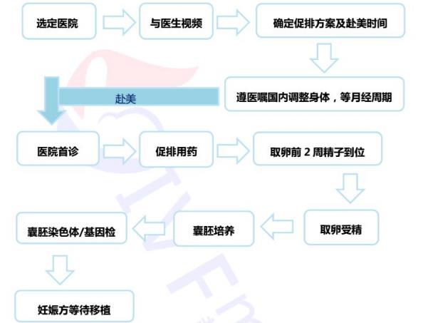 拉拉生子计划，如何选择精子，拉拉怀孕的两种方式