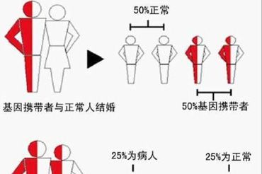 多囊促排怎样提升受孕率